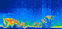 /calipso-imagery/data/BROWSE/production/V5-00/2013-08-29/2013-08-29_17-48-30_V5.00_1_thmb.png image missing