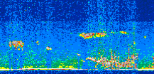 /calipso-imagery/data/BROWSE/production/V5-00/2013-08-29/2013-08-29_17-48-30_V5.00_2_thmb.png image missing