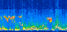 /calipso-imagery/data/BROWSE/production/V5-00/2013-08-29/2013-08-29_17-48-30_V5.00_3_thmb.png image missing