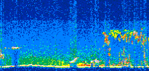 /calipso-imagery/data/BROWSE/production/V5-00/2013-09-03/2013-09-03_04-55-29_V5.00_2_thmb.png image missing