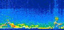 /calipso-imagery/data/BROWSE/production/V5-00/2013-09-03/2013-09-03_13-09-55_V5.00_3_thmb.png image missing