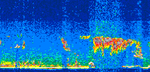 /calipso-imagery/data/BROWSE/production/V5-00/2013-09-03/2013-09-03_16-27-41_V5.00_3_thmb.png image missing