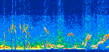 /calipso-imagery/data/BROWSE/production/V5-00/2013-09-03/2013-09-03_18-06-31_V5.00_3_thmb.png image missing
