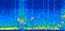 /calipso-imagery/data/BROWSE/production/V5-00/2013-09-11/2013-09-11_00-47-19_V5.00_2_thmb.png image missing