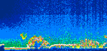 /calipso-imagery/data/BROWSE/production/V5-00/2013-09-11/2013-09-11_04-05-05_V5.00_1_thmb.png image missing