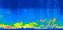 /calipso-imagery/data/BROWSE/production/V5-00/2013-09-11/2013-09-11_09-01-45_V5.00_3_thmb.png image missing