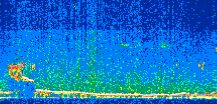 /calipso-imagery/data/BROWSE/production/V5-00/2013-09-12/2013-09-12_19-38-05_V5.00_2_thmb.png image missing