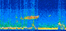 /calipso-imagery/data/BROWSE/production/V5-00/2013-09-12/2013-09-12_22-55-50_V5.00_2_thmb.png image missing