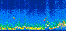 /calipso-imagery/data/BROWSE/production/V5-00/2013-09-12/2013-09-12_22-55-50_V5.00_3_thmb.png image missing