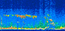 /calipso-imagery/data/BROWSE/production/V5-00/2013-09-18/2013-09-18_00-52-37_V5.00_3_thmb.png image missing