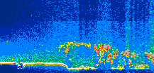 /calipso-imagery/data/BROWSE/production/V5-00/2013-09-18/2013-09-18_05-49-12_V5.00_1_thmb.png image missing