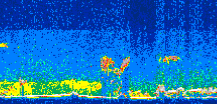 /calipso-imagery/data/BROWSE/production/V5-00/2013-09-18/2013-09-18_12-24-43_V5.00_3_thmb.png image missing