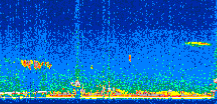 /calipso-imagery/data/BROWSE/production/V5-00/2013-09-18/2013-09-18_22-17-59_V5.00_2_thmb.png image missing