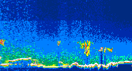 /calipso-imagery/data/BROWSE/production/V5-00/2013-09-19/2013-09-19_09-50-04_V5.00_4_thmb.png image missing