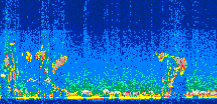 /calipso-imagery/data/BROWSE/production/V5-00/2013-09-19/2013-09-19_14-46-42_V5.00_3_thmb.png image missing