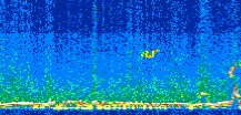 /calipso-imagery/data/BROWSE/production/V5-00/2013-09-19/2013-09-19_19-43-22_V5.00_2_thmb.png image missing