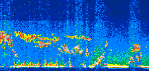 /calipso-imagery/data/BROWSE/production/V5-00/2013-09-21/2013-09-21_01-23-06_V5.00_3_thmb.png image missing