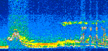 /calipso-imagery/data/BROWSE/production/V5-00/2013-09-21/2013-09-21_11-16-18_V5.00_2_thmb.png image missing