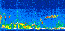 /calipso-imagery/data/BROWSE/production/V5-00/2013-09-21/2013-09-21_12-55-13_V5.00_3_thmb.png image missing