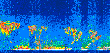 /calipso-imagery/data/BROWSE/production/V5-00/2013-09-23/2013-09-23_01-10-28_V5.00_3_thmb.png image missing