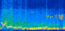 /calipso-imagery/data/BROWSE/production/V5-00/2013-09-23/2013-09-23_06-07-03_V5.00_2_thmb.png image missing