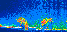 /calipso-imagery/data/BROWSE/production/V5-00/2013-09-26/2013-09-26_16-30-54_V5.00_1_thmb.png image missing