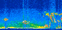 /calipso-imagery/data/BROWSE/production/V5-00/2013-09-27/2013-09-27_04-03-01_V5.00_2_thmb.png image missing