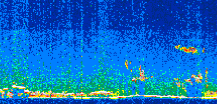 /calipso-imagery/data/BROWSE/production/V5-00/2013-10-28/2013-10-28_04-55-03_V5.00_2_thmb.png image missing