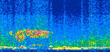 /calipso-imagery/data/BROWSE/production/V5-00/2013-10-28/2013-10-28_13-09-24_V5.00_2_thmb.png image missing