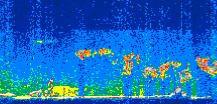 /calipso-imagery/data/BROWSE/production/V5-00/2013-10-28/2013-10-28_13-09-24_V5.00_3_thmb.png image missing