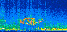 /calipso-imagery/data/BROWSE/production/V5-00/2013-10-28/2013-10-28_14-48-14_V5.00_2_thmb.png image missing
