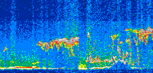 /calipso-imagery/data/BROWSE/production/V5-00/2013-10-30/2013-10-30_17-53-31_V5.00_2_thmb.png image missing