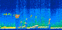 /calipso-imagery/data/BROWSE/production/V5-00/2013-11-01/2013-11-01_20-58-48_V5.00_3_thmb.png image missing