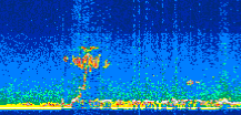 /calipso-imagery/data/BROWSE/production/V5-00/2013-11-01/2013-11-01_22-37-38_V5.00_3_thmb.png image missing