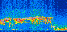 /calipso-imagery/data/BROWSE/production/V5-00/2013-11-07/2013-11-07_22-00-07_V5.00_2_thmb.png image missing