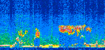 /calipso-imagery/data/BROWSE/production/V5-00/2013-11-09/2013-11-09_00-22-06_V5.00_2_thmb.png image missing