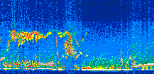 /calipso-imagery/data/BROWSE/production/V5-00/2013-11-09/2013-11-09_16-50-53_V5.00_3_thmb.png image missing