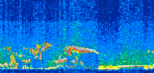 /calipso-imagery/data/BROWSE/production/V5-00/2013-11-09/2013-11-09_18-29-48_V5.00_2_thmb.png image missing