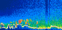 /calipso-imagery/data/BROWSE/production/V5-00/2013-12-01/2013-12-01_04-39-57_V5.00_1_thmb.png image missing