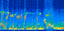 /calipso-imagery/data/BROWSE/production/V5-00/2013-12-01/2013-12-01_04-39-57_V5.00_3_thmb.png image missing