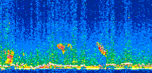/calipso-imagery/data/BROWSE/production/V5-00/2013-12-01/2013-12-01_07-57-48_V5.00_2_thmb.png image missing