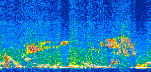 /calipso-imagery/data/BROWSE/production/V5-00/2013-12-01/2013-12-01_09-36-38_V5.00_2_thmb.png image missing