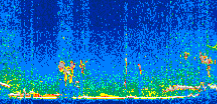 /calipso-imagery/data/BROWSE/production/V5-00/2013-12-01/2013-12-01_17-51-04_V5.00_2_thmb.png image missing