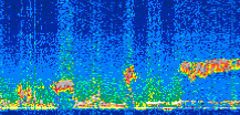/calipso-imagery/data/BROWSE/production/V5-00/2013-12-01/2013-12-01_19-29-54_V5.00_2_thmb.png image missing