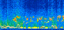 /calipso-imagery/data/BROWSE/production/V5-00/2013-12-07/2013-12-07_00-45-06_V5.00_2_thmb.png image missing