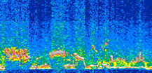 /calipso-imagery/data/BROWSE/production/V5-00/2013-12-07/2013-12-07_05-41-47_V5.00_2_thmb.png image missing