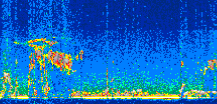 /calipso-imagery/data/BROWSE/production/V5-00/2013-12-09/2013-12-09_00-32-43_V5.00_3_thmb.png image missing