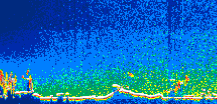 /calipso-imagery/data/BROWSE/production/V5-00/2013-12-09/2013-12-09_02-11-38_V5.00_1_thmb.png image missing