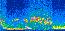 /calipso-imagery/data/BROWSE/production/V5-00/2013-12-09/2013-12-09_03-50-28_V5.00_2_thmb.png image missing