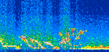 /calipso-imagery/data/BROWSE/production/V5-00/2013-12-09/2013-12-09_08-47-09_V5.00_2_thmb.png image missing
